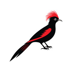 Minimalist Vector Bird with Crest and Long Tail.