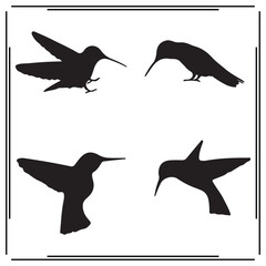 Fototapeta premium Hummingbird silhouette, Hummingbird illustration ,Hummingbird clipart, Hummingbird vector ,Hummingbird icon , black Hummingbird ,Hummingbird illustration on white background, 