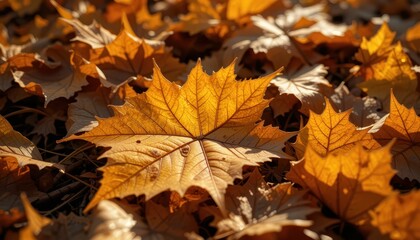Vibrant Autumn Leaves Covering The Ground In A Nature Scene