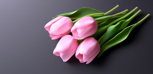 Obraz premium set of pink tulip flowers isolated on a transparent background,