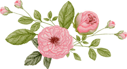 Rose Arrangement Watercolor