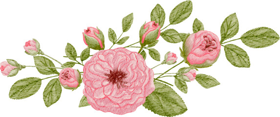 pink rose arrangement watercolor