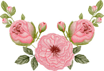 Rose Arrangement watercolor