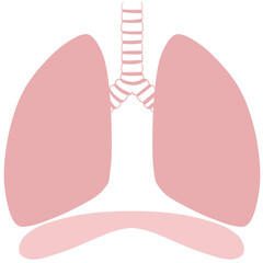 不健康な肺と横隔膜のイラスト