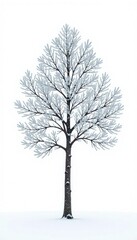 Obraz premium Single isolated tree branch on white background, frost, tree