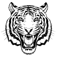 Fototapeta premium Roaring Tiger Face with Intense Expression Vector White Background