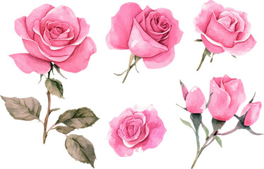 pink roses seamless pattern