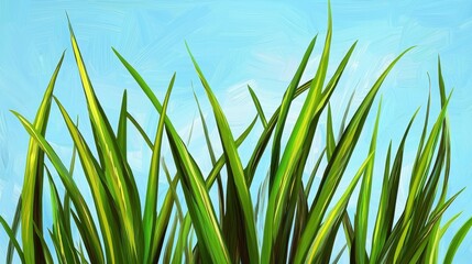 Fototapeta premium Lush Green Grass Blades Against Bright Blue Sky Background