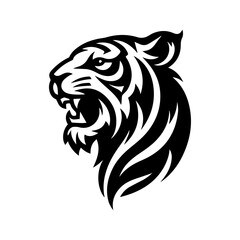 Tiger head vector White Tigers Rare and Beautiful Creatures of the Wild