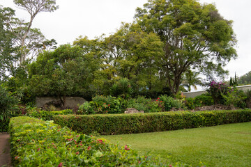 Obraz premium Beautiful outdoor garden on a historic site