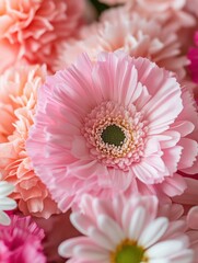A Close-Up of Beautiful Pink and White Flowers with Delicate Petals in Soft Focus Creating a Serene and Vibrant Floral Composition for Decor