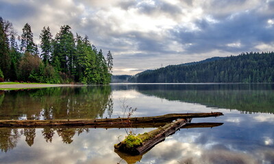 Sasamat Lake Park in winter in Port Moody City, trees on the island and conifers around the lake. Mountain range on the horizon, cloudy sky. Tree trunks in the water in the foreground