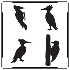 Woodpecker silhouette, Woodpecker illustration ,Woodpecker clipart, Woodpecker vector ,Woodpecker icon , black Woodpecker ,Woodpecker illustration on white background, Woodpecker vector illustration ,