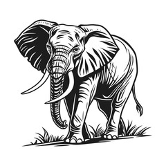 Obraz premium Elephant vector illustration design, detailed vector, hand drawn style, monochrome design, isolated on a white background