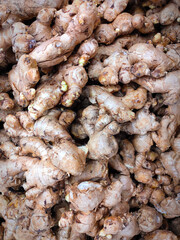 Bountiful pile of fresh ginger roots background.
