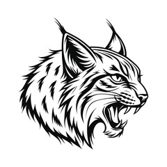 Wild lynx face vector illustration, detailed vector, hand drawn illustration, monochrome design, isolated on a white background