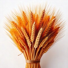 Fototapeta premium Golden Harvest: A Bundle of Wheat Stalks Symbolizing Abundance, Agriculture, and Sustainability in Traditional and Modern Farming Practices