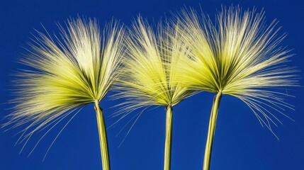 Three Yellow Green Plants Against Blue Background