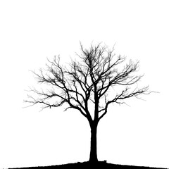 Obraz premium vector tree silhouette with transparent background PNG and JPEG image 