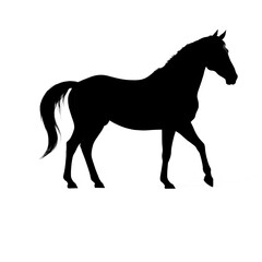 silhouette of a horse with transparent background PNG and JPEG image	
