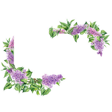 watercolor lilac flowers arrangement on white clip art preview