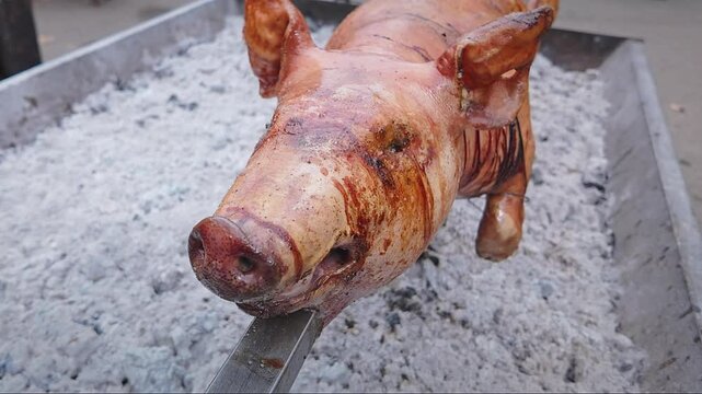 Juicy Pig on Spit Slowly Roasting Over BBQ hot coals at food Festival