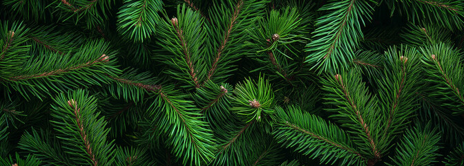 Green pine tree branches seamless pattern background. Top view, flat lay.