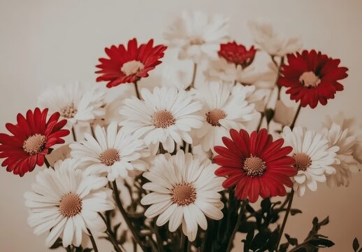 Beautiful arrangement of red and white daisies showcasing vibrant colors and delicate petals for a cheerful and fresh appearance in floral decor.