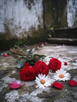 Beautiful Arrangement of Red Roses and White Daisies on Weathered Surface with Petals and Textured Background in Natural Light