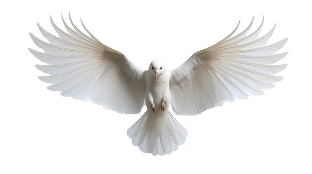 A majestic white dove in peaceful flight across the expansive blue sky