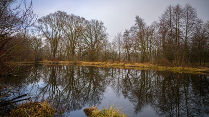 Spreewald