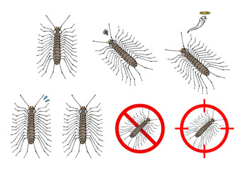ゲジゲジセット