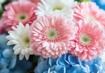 Beautiful Close-Up of Colorful Gerbera Daisies Surrounded by Soft Petals of White and Blue Flowers for Vibrant Nature Decoration