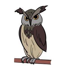 owl on a branch