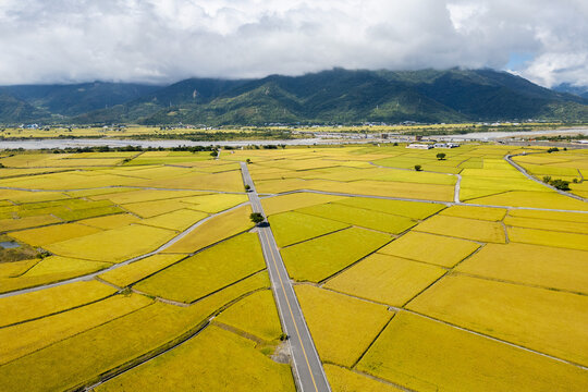 Areial view of Chishang township in Taitung, Taiwan during harvest season