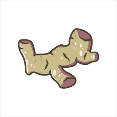 Fresh Ginger Root with detailed natural texture, vegetable Illustration high-quality Editable Vector