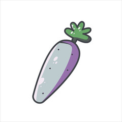 Fresh Turnip vegetable Illustration high-quality Editable Vector