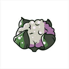 White Broccoli Editable Vector Illustration, high-quality vegetable Illustration