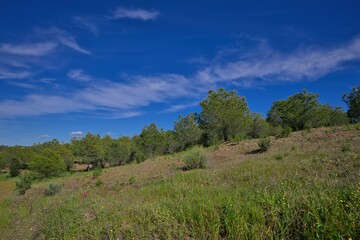 Portugal Travel sunny day Nature