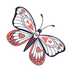 butterfly on white background