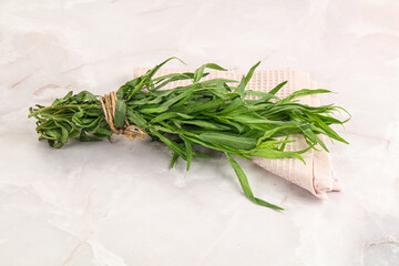 Green estragon branches for cooking