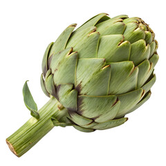Fototapeta premium artichoke on a white background