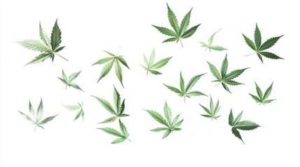 Obraz premium Floating cannabis leaves with smooth gradients,