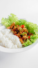 white rice and chopped meat and green vegetables