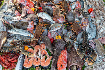Fresh seafood displayed at a market in Essaouira, Morocco during the morning hours
