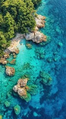 Fototapeta premium Turquoise sea meets rocky shore, lush trees line the coast. Beauty