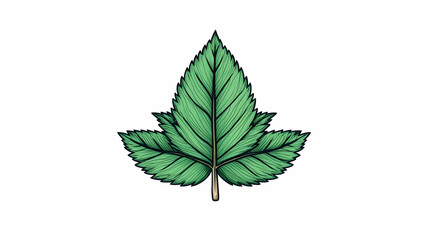 Fototapeta premium Detailed illustration of a three-lobed green leaf with visible veins and stem