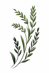 Naklejka premium Elegant green foliage sprig illustration