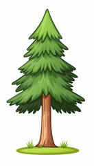 Lush green evergreen tree with brown trunk, isolated on white