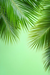 Naklejka premium Lush green palm fronds against a light green background